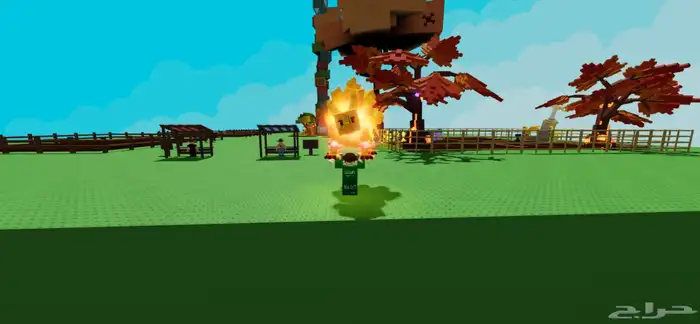 ماب مزرعة 12