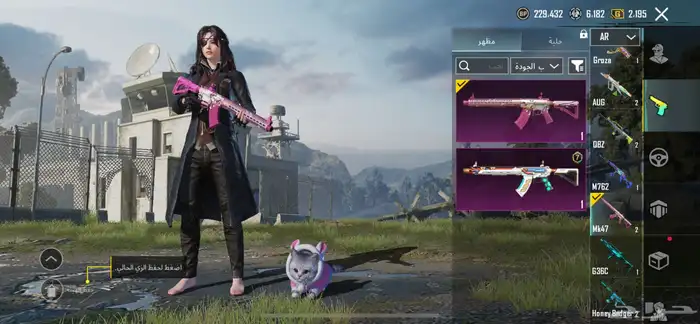 حساب ببجي للبيع 17