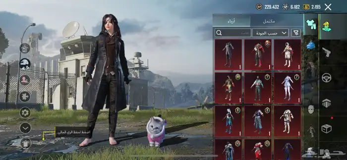 حساب ببجي للبيع 22