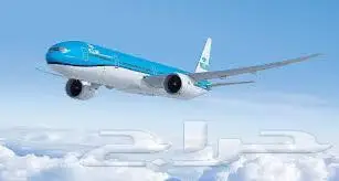 حجز طيران داخلي ودودلي 0