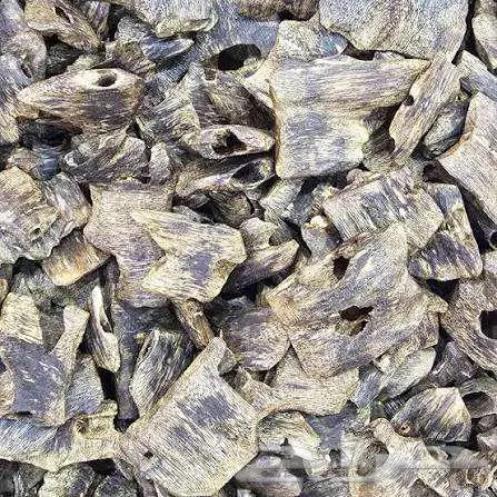 عود كينام الصيني 1