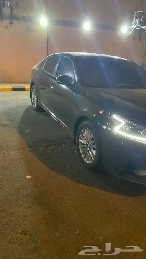 كادينزا 2018 7