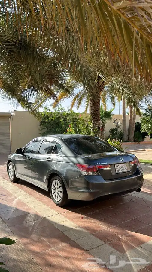 اكورد 12 نظيف البدي بلد 7