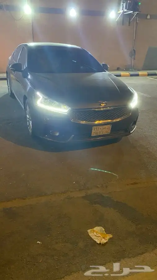 كادينزا 2018 5