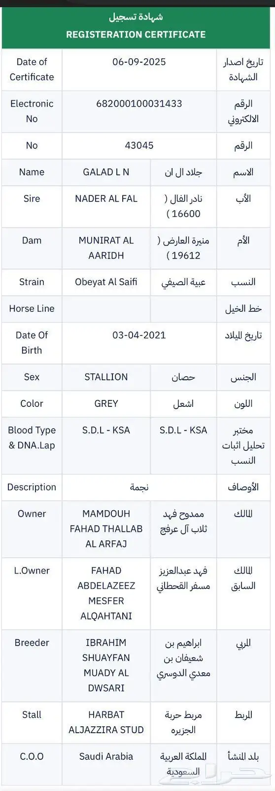 حصان جزيري بيور 2