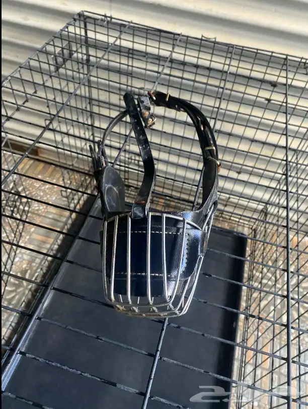 قفص كلاب كبير( Feandrea ) كمامه و ليش 5