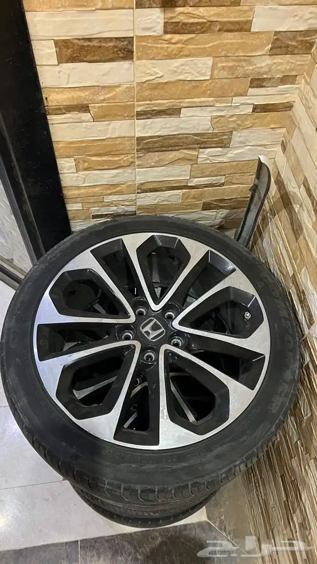 جنوط اكورد 0