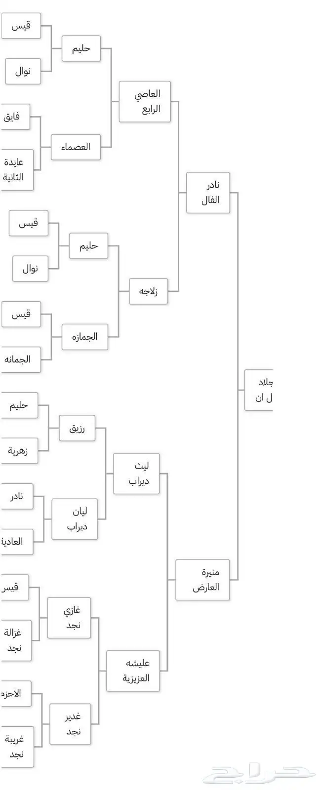 حصان جزيري بيور 3