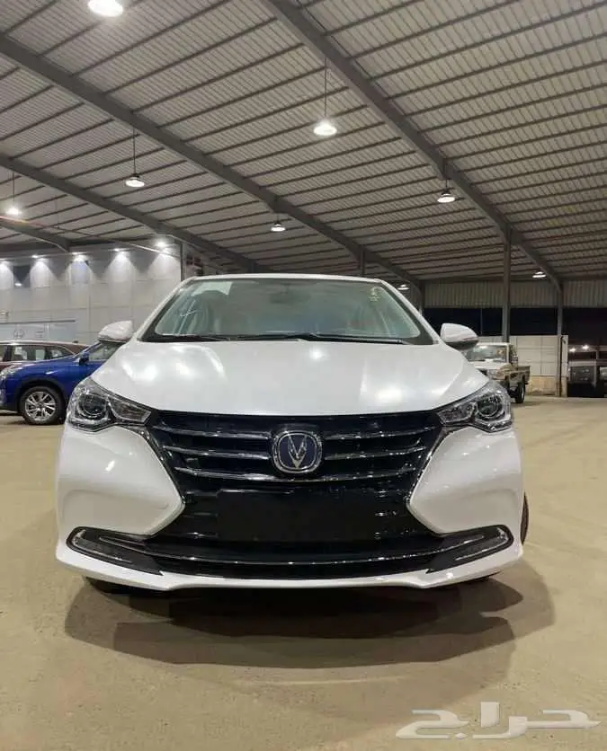 شانجان السفن 2025 فل كامل 0