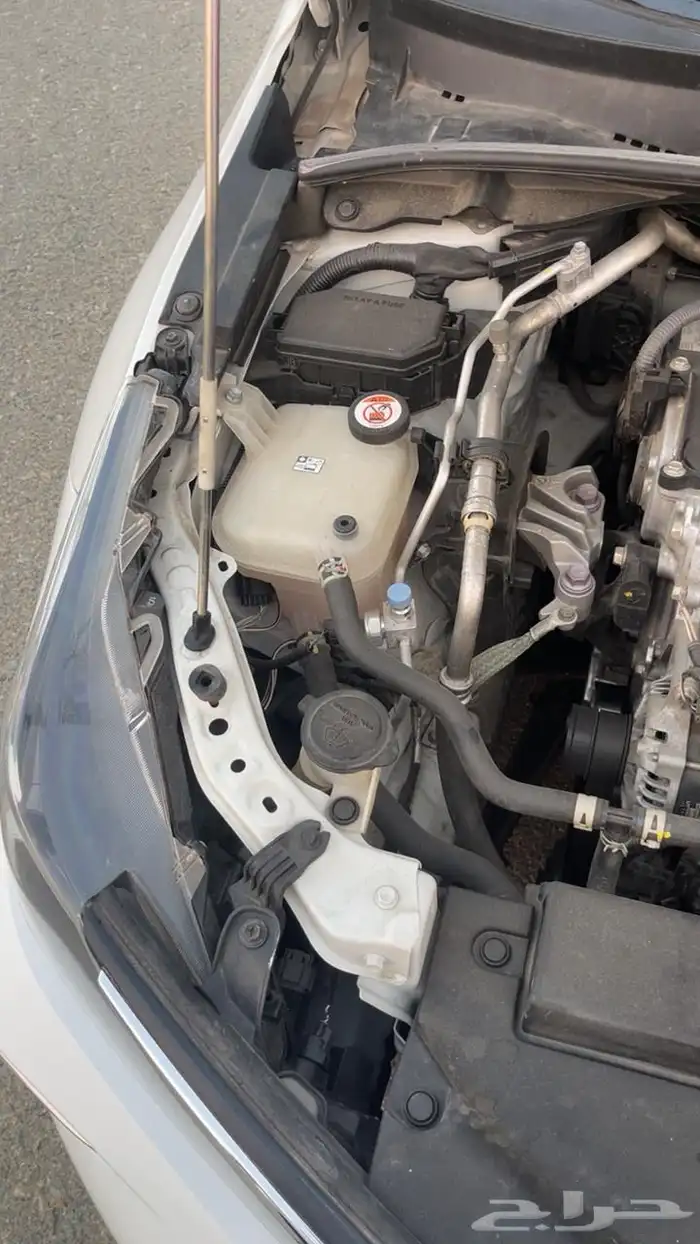 كرولا موديل 2024 23