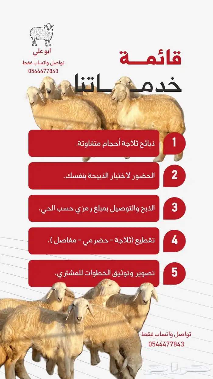 طليان ذبايح ثلاجة 0