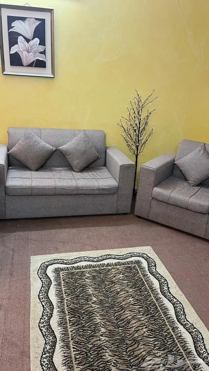 كنب لونه بني من دون ستاير ومن دون طاولات فقط كنب ومخداته 0