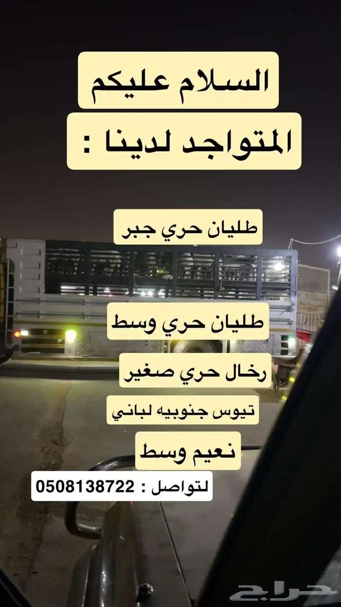 ذبايح الثلاجات والمناسبات 2