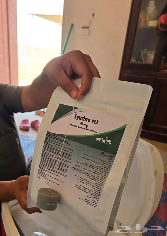 سفنجات تلقيح صناعي للغنم و الماعز 0