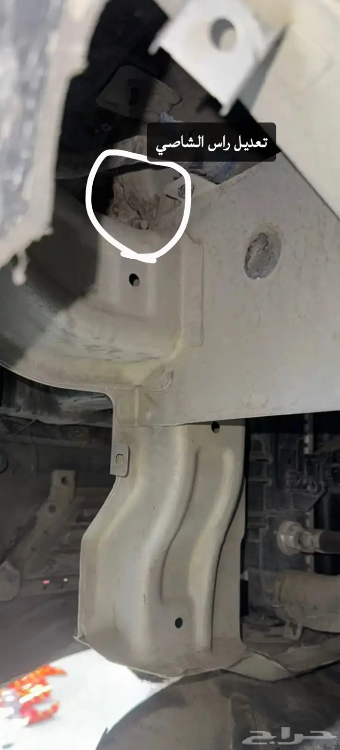 كادينزا فضيه 2018 14