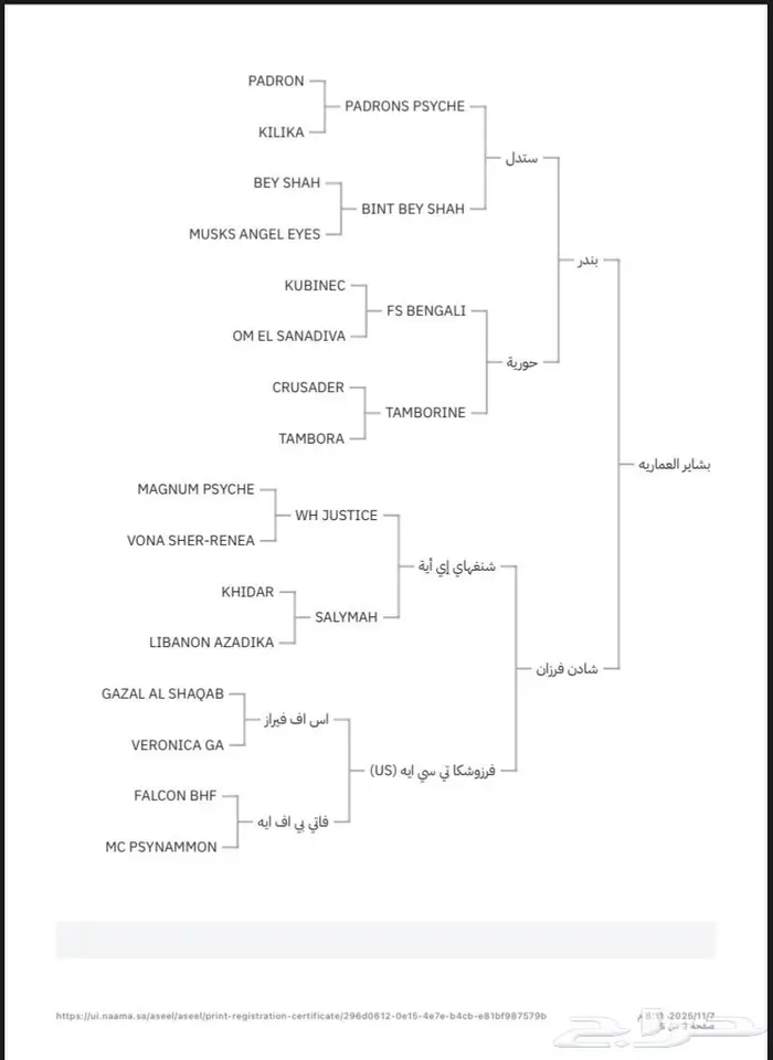 فرس واهو لقاح 8 شهور على مقبل عذبة ولد ستدل 4