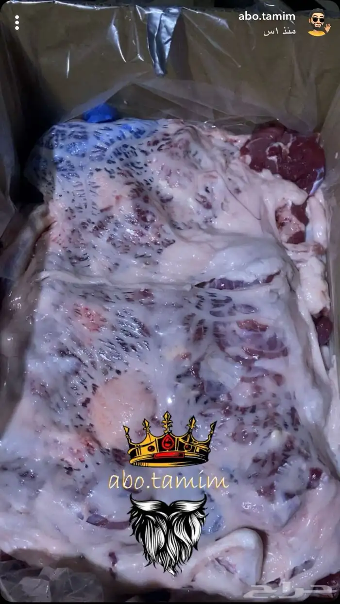 يوجد لدينا أنواع الذبائح - حري - نعيم - سواكن 4