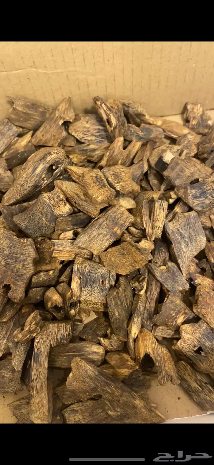 عود صيني كينام دبل وتربل 0