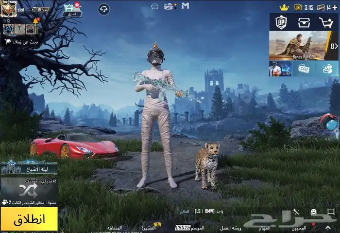 حساب ببجي للبيع 9