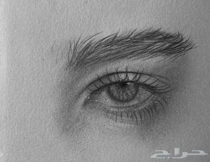 استقبل طلبات الرسم الشخصية بالرصاص والالوان الزيتية 5