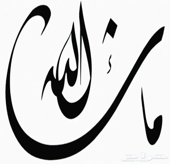 راف فور فل كَامل _ الموديل 2023 31