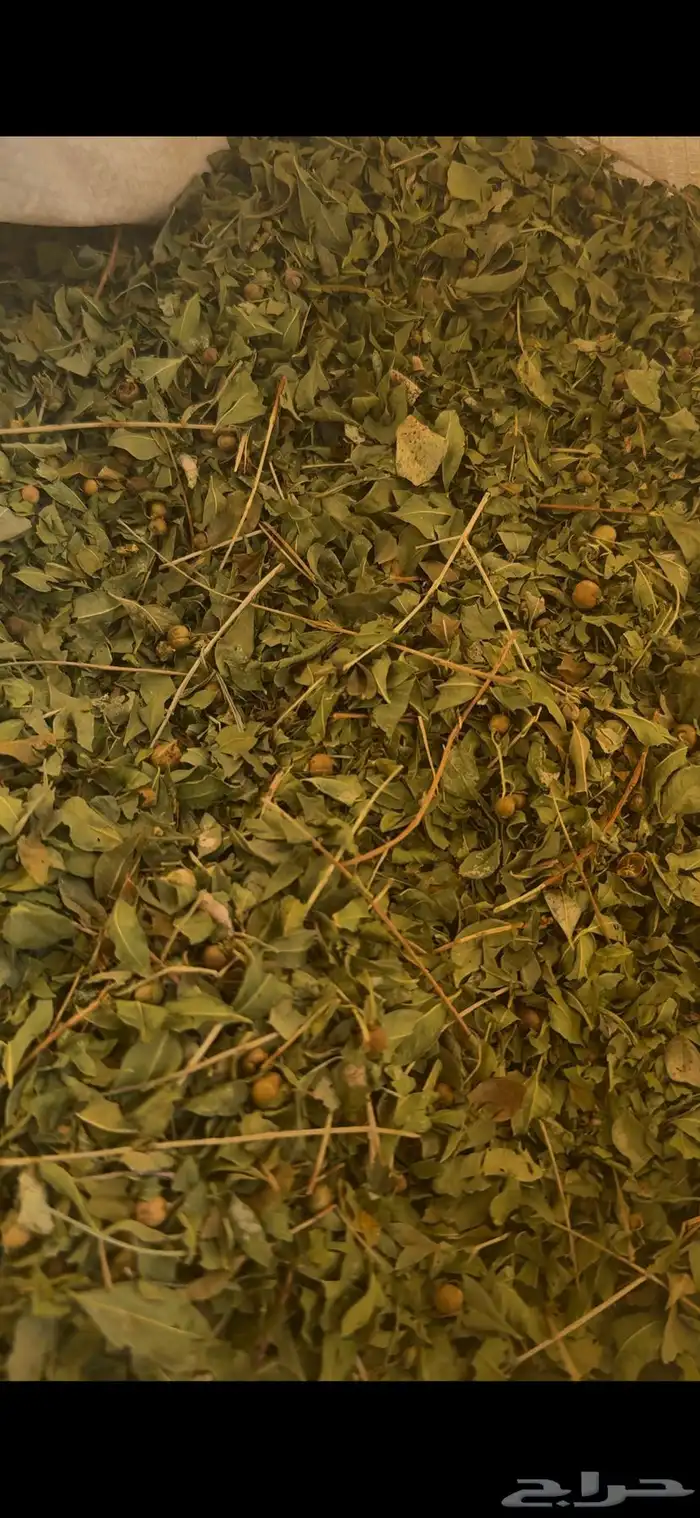 حناء طبيعي 100 100 3