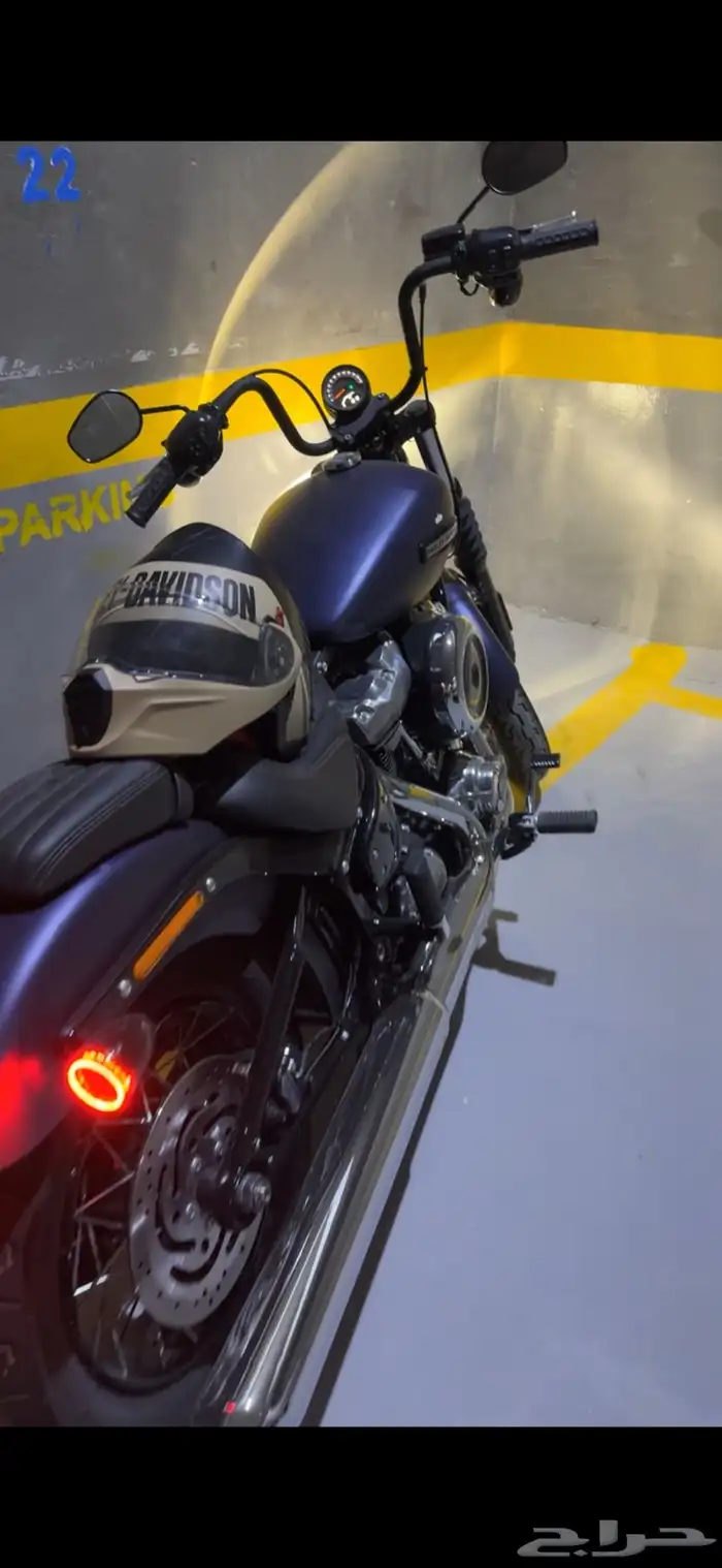 هارلي سريت بوب Harley Street Bob 2025 6