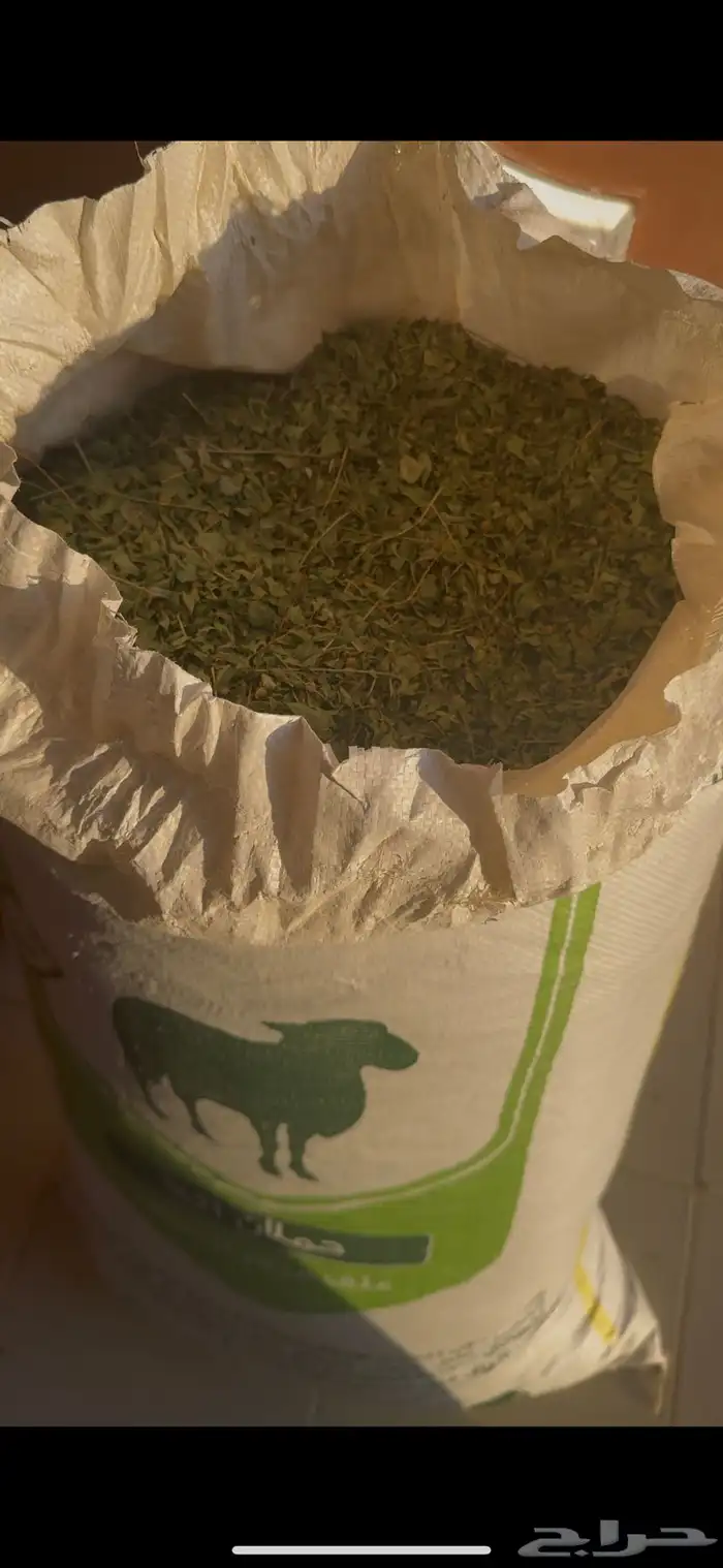 حناء طبيعي 100 100 1