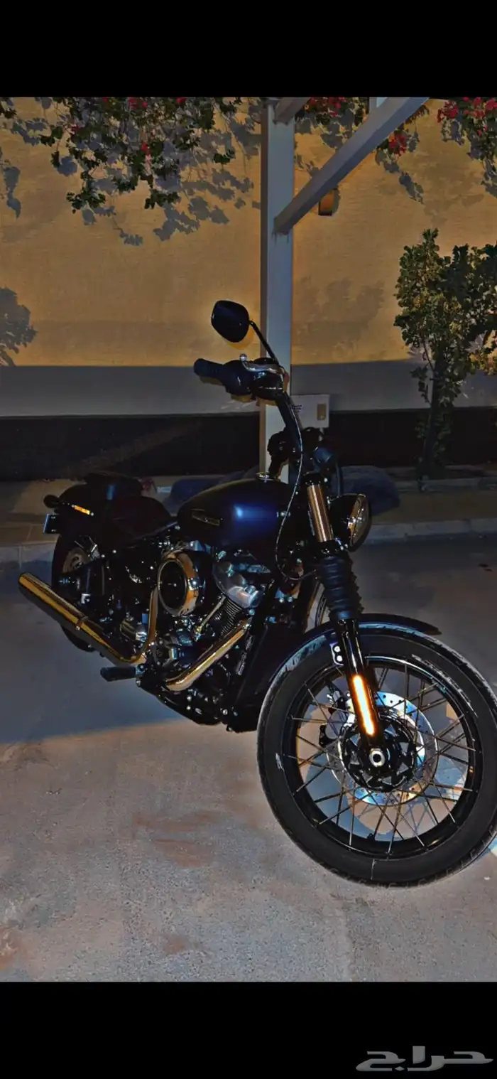 هارلي سريت بوب Harley Street Bob 2025 5