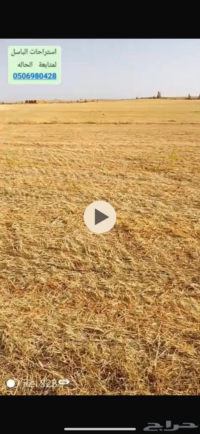 مزرعه لليجار ذره جيزانيه للغنم 0