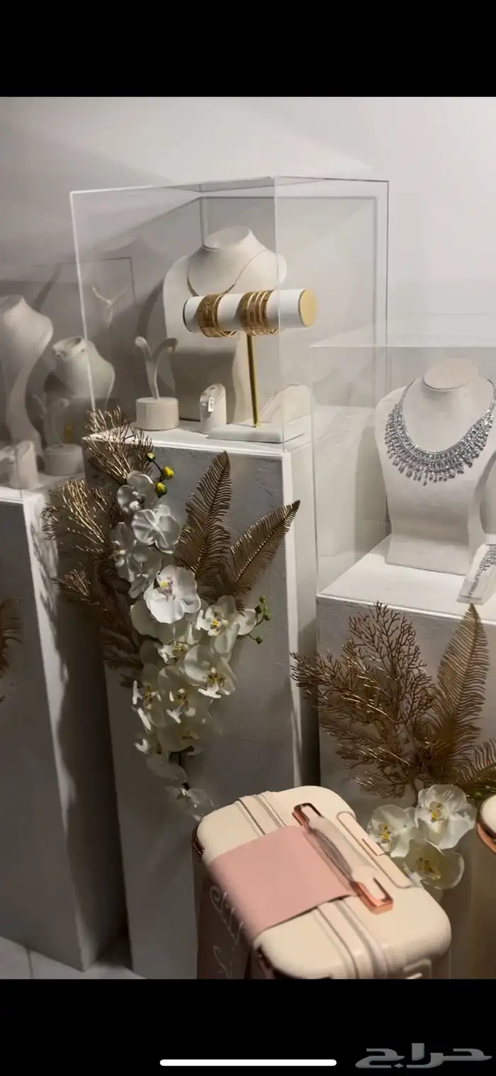 دبش عروس (دزه) 1