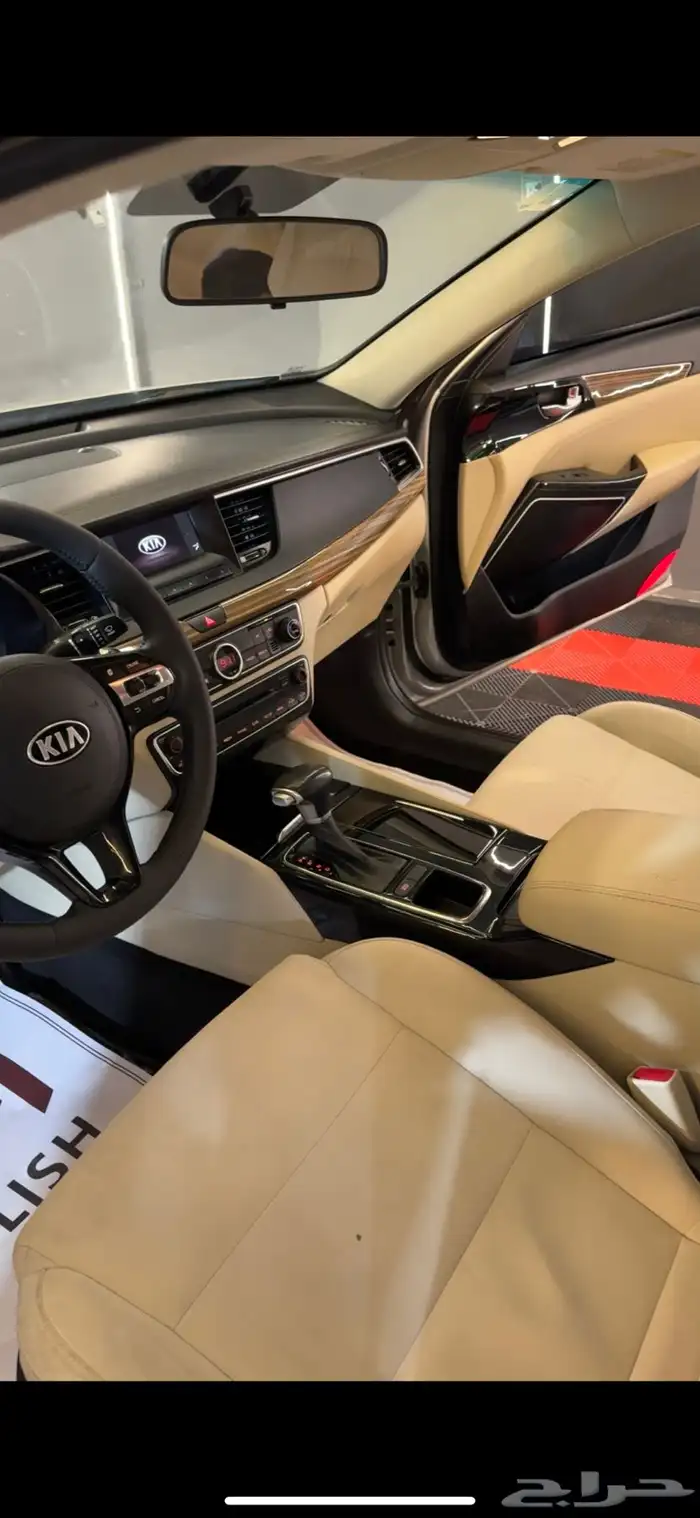 كادينزا فضيه 2018 11