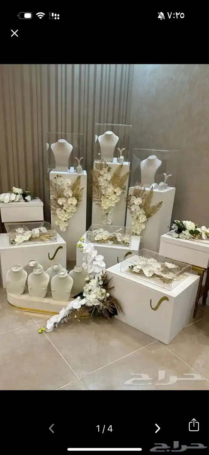 دبش عروس (دزه) 0