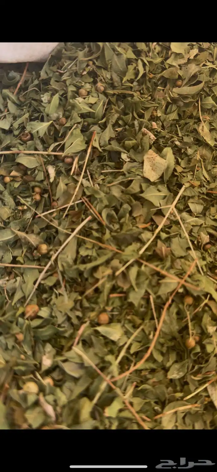 حناء طبيعي 100 100 2