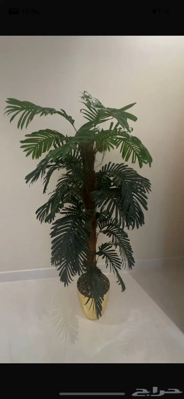 اثاث خميس مشيط 2