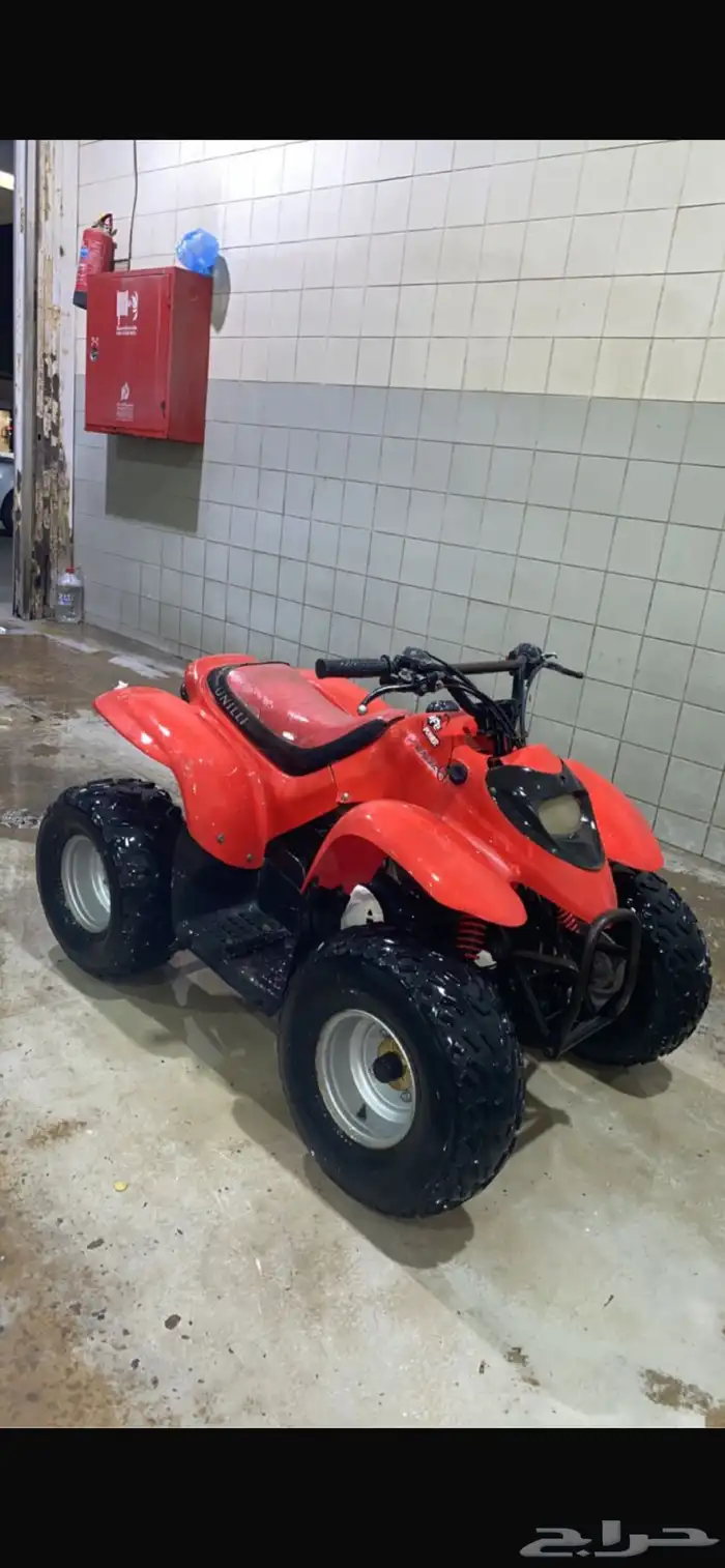 دباب تايواني نظيف جاهز للمستخدم 1