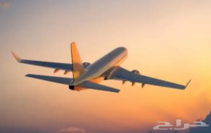 مطلوب رحله مخفضه من تبوك الى الرياض 0