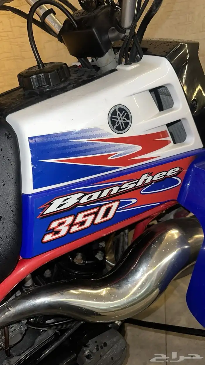 للبيع بانشي 4