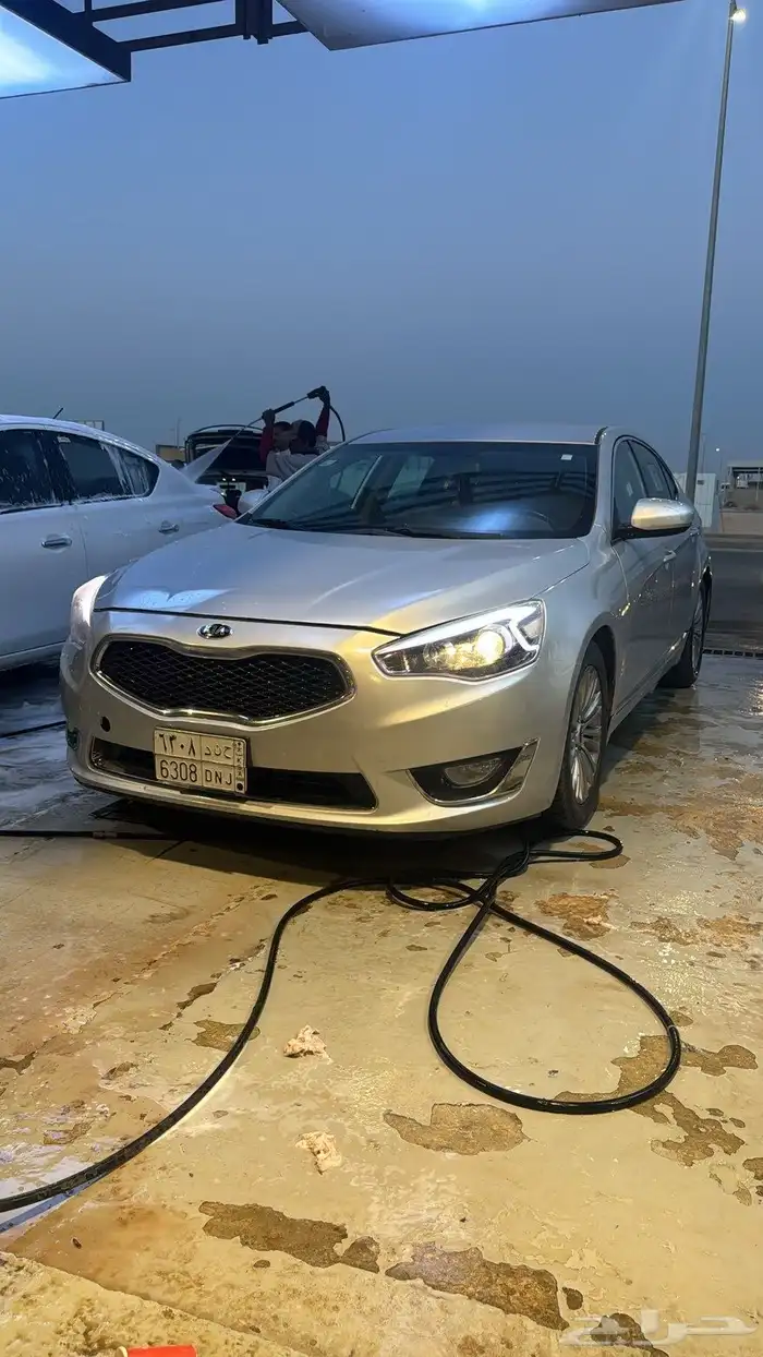 كادينزا 2016 1