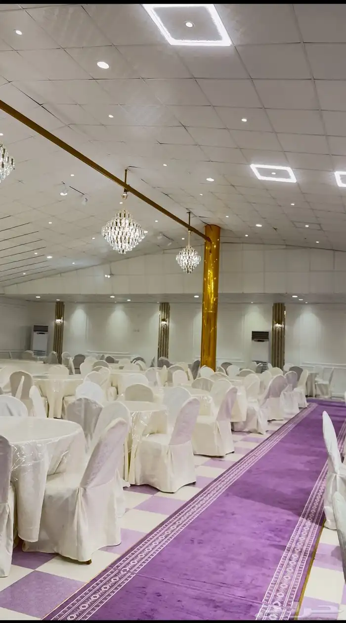 فرصة استثمارية نادرة شمال الطائف   عشيرة 1