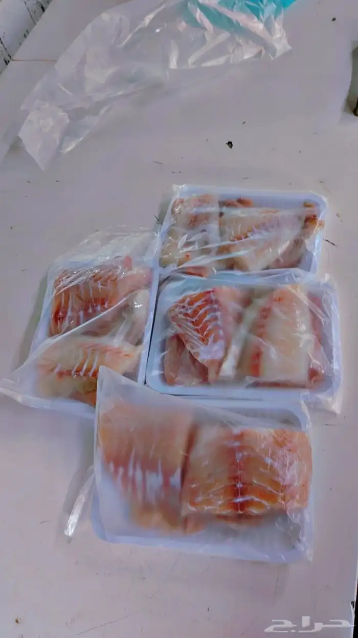 سمك اليوم طازج 5