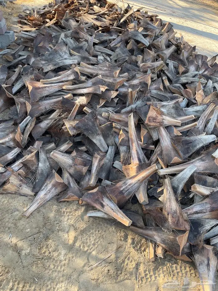 كرب نخيل للبيع 0