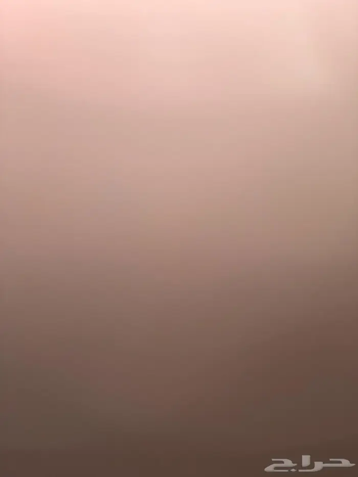 دجاج بكستاني اصلي 0