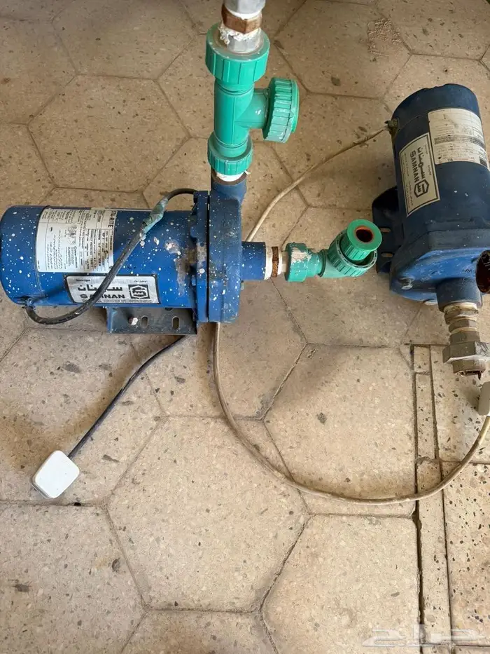 دينمو سمنان 1 حصان 1