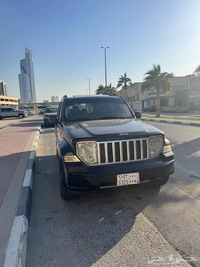 شروكي ليبرتي ليمتد 2012 0