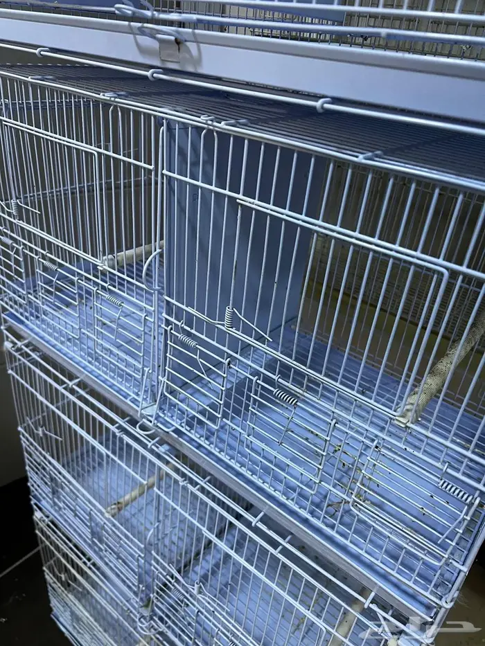 اقفاص انتاج للكناري شبه جديده 2