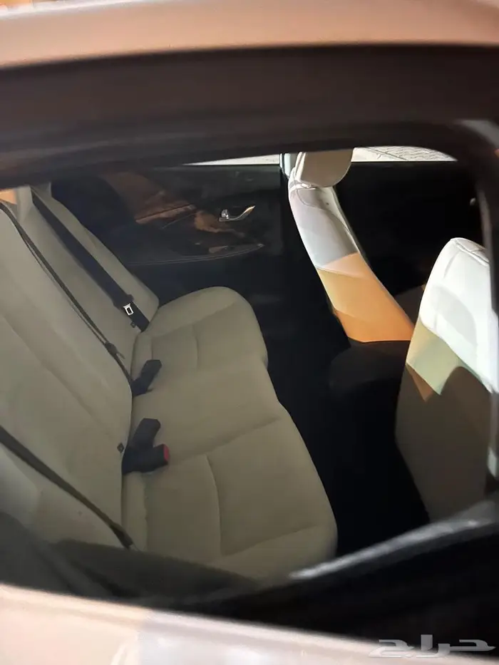 شانجان السفن 2025 مصدومه 5