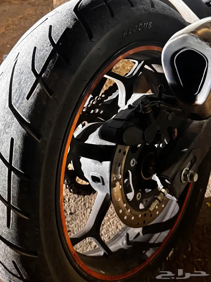 دباب ريس 250 10