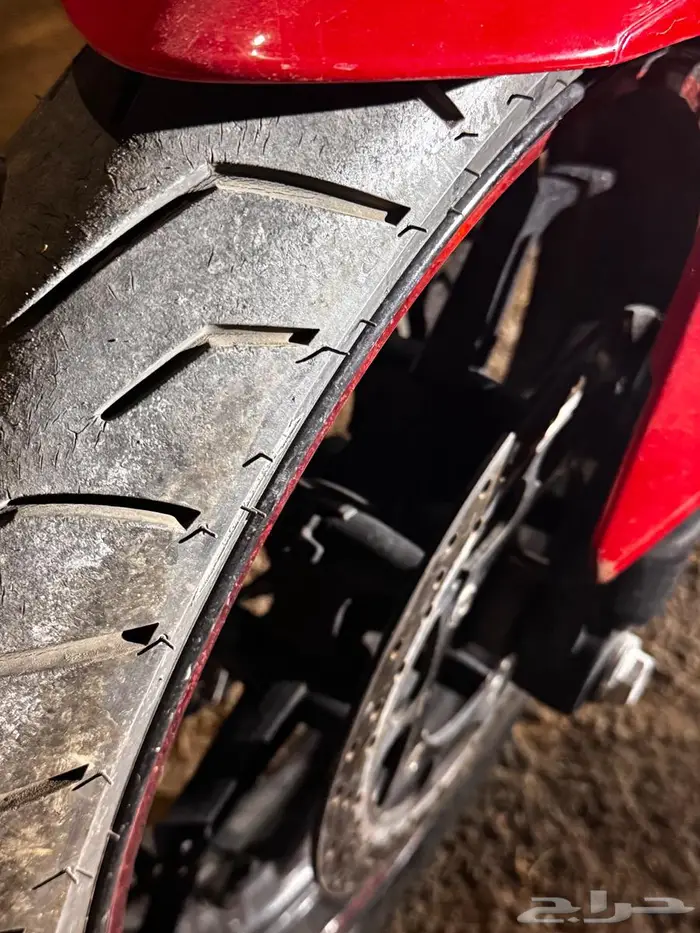 دباب ريس 250 11