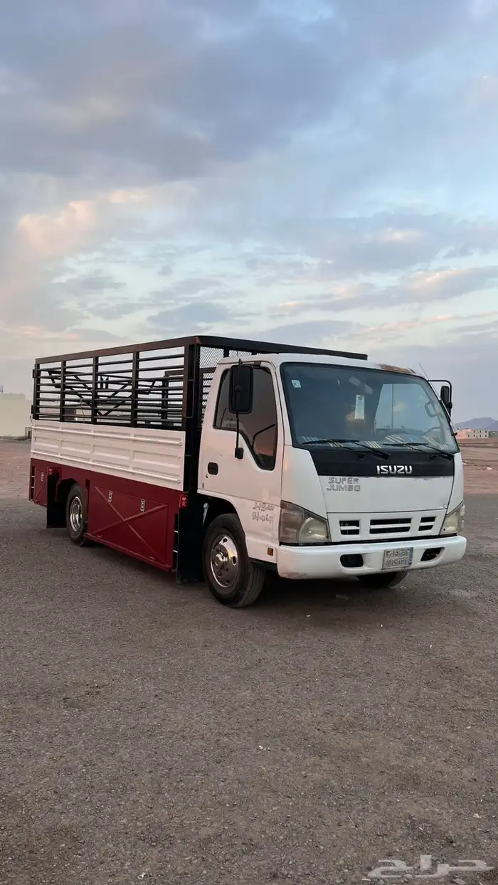 دينا ايسوزو 4